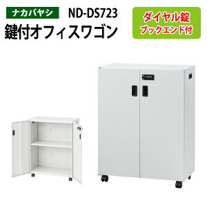 t@CS ND-DS723 60×s30×80cm (kCEE) fXN^[i ItBXS iJoV [ t@CbN TChS {I