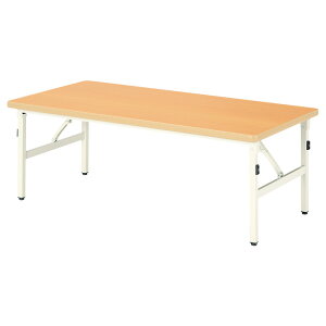 保育園 テーブル 折りたたみ 幼稚園 机 E-ESB-1260L 幅120x奥行60x高さ45cm ロータイプ 学童保育 託児所 塾 キッズテーブル 子供用テーブル 長机 軽量 軽い 完成品 日本製 国産