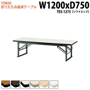 cpe[u ܂肽 [   ce[u a  TES-1275 120xs75x33cm \tgGbW cpe[u ce[u TCY y  W _ @ xe X 