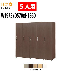 bJ[ 5lp 1i RGFJLS-5 197.5×s57x186cm (kCEE) Xߎ { ItBX ^bN̔