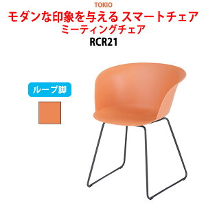 X^bLO`FA c֎q ~[eBO`FA cp`FA RCR21 [vr 60×s53.5×76Eʍ45.5cm cp֎q X^bN`FA c ֎q cpCX H ItBX