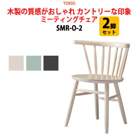 会議椅子 ミーティングチェア 2脚セット SMR-O-2 ロータイプ 横幅54×奥行き47×高さ72・座面高42cm【法人様配送料無料(北海道 沖縄 離島を除く)】 スタッキングチェア オフィス 会議用椅子 スタックチェア 会議室 椅子 会議用イス 藤沢工業 オフィス家具