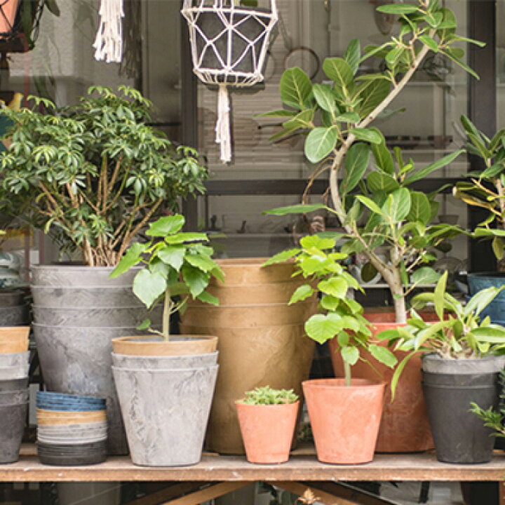 楽天市場】アートストーン 【 L サイズ 】 植木鉢 おしゃれ 大型 プラスチック かわいい 室内 軽い お洒落 観葉植物 鉢 プランター 屋外 軽量 アマブロ amabro art stone : TOKILABOトキラボ楽天市場店 楽天市場】アートストーン 【 L サイズ 】 植木鉢 おしゃれ 大型 プラスチック かわいい 室内 軽い お洒落 観葉植物 鉢 プランター 屋外 軽量 アマブロ amabro art stone : TOKILABOトキラボ楽天市場店