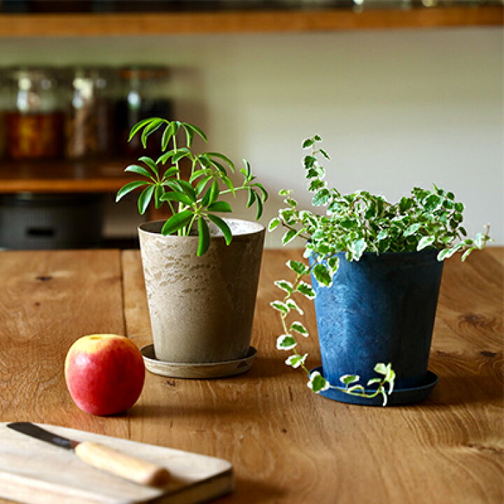 楽天市場】アートストーン 【 L サイズ 】 植木鉢 おしゃれ 大型 プラスチック かわいい 室内 軽い お洒落 観葉植物 鉢 プランター 屋外 軽量 アマブロ amabro art stone : TOKILABOトキラボ楽天市場店 楽天市場】アートストーン 【 L サイズ 】 植木鉢 おしゃれ 大型 プラスチック かわいい 室内 軽い お洒落 観葉植物 鉢 プランター 屋外 軽量 アマブロ amabro art stone : TOKILABOトキラボ楽天市場店
