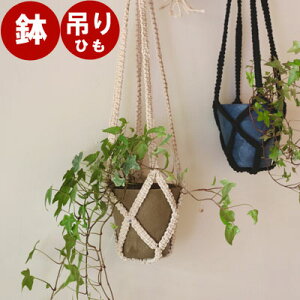 \ 選べる全10色 / amabro ハンギング プランターSET ( 鉢 + 吊りひも ) アートストーン artstone アマブロ 吊り鉢 ハンギングポット 壁掛け かわいい 野菜 屋外 植木鉢 おしゃれ プラスチック 吊