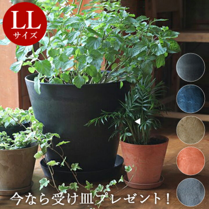 楽天市場】＼ 期間限定【受け皿】プレゼント ／ アートストーン 【 LL 
