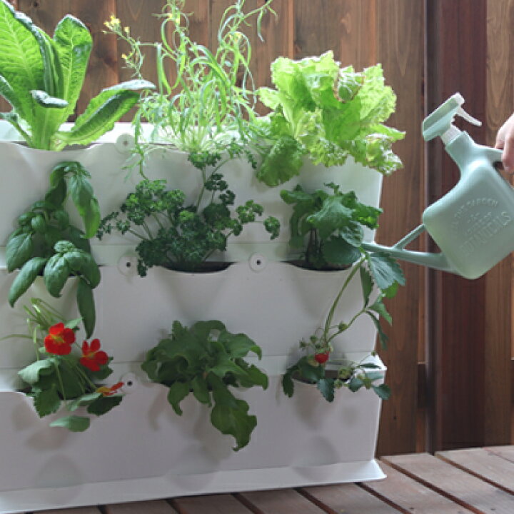 Minigarden おうちでミニガーデン コーナータイプ 自由研究 栽培鉢 鉢 鉢植え 家庭菜園 かわいい ギフト ベランダガーデニング おうち時間 ベランダ菜園 おしゃれ プランター 花