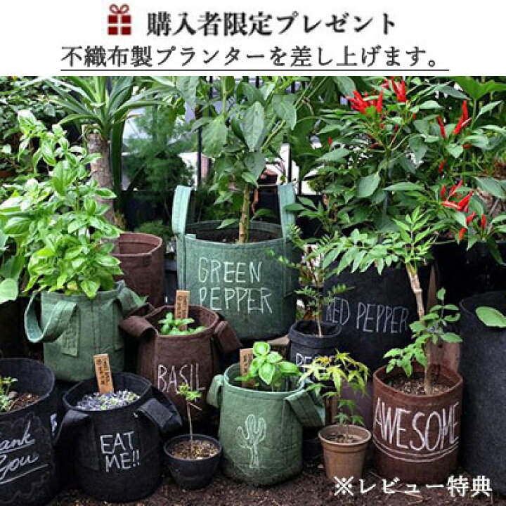 \ 数量限定◎【 布製プランター 】付き / コンポスト 生ごみ処理機 容器 おしゃれ 300 以上 簡単堆肥作り 家庭用 コンポスター 生ゴミ処理機 Compost Converter 330L | TOKILABOトキラボ楽天市場店
