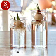 BULB VASE バルブベース 【ショートサイズ】 フラワーベース シンプル おしゃれ ガラス ポット ヒヤシン…
