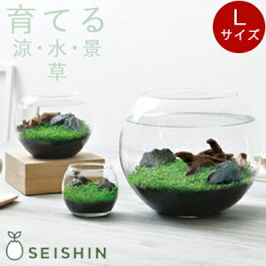 水草 セット Diy 工具の人気商品 通販 価格比較 価格 Com