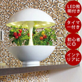 楽天市場 ハーブ 栽培キット キッチン用品 食器 調理器具 の通販