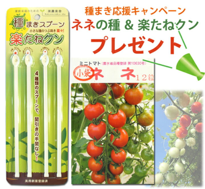 楽天市場 水耕栽培 キット ホームハイポニカ Sarah サラプラス ハーブ栽培キット バジル パクチー リーフレタス 果菜 葉菜 両用 おまけ付 おしゃれ シンプル 家庭菜園 簡単 セット 節約 食育 ポット 水耕栽培器 液肥 駅他肥料 野菜 種 スポンジ Tokilaboトキラボ