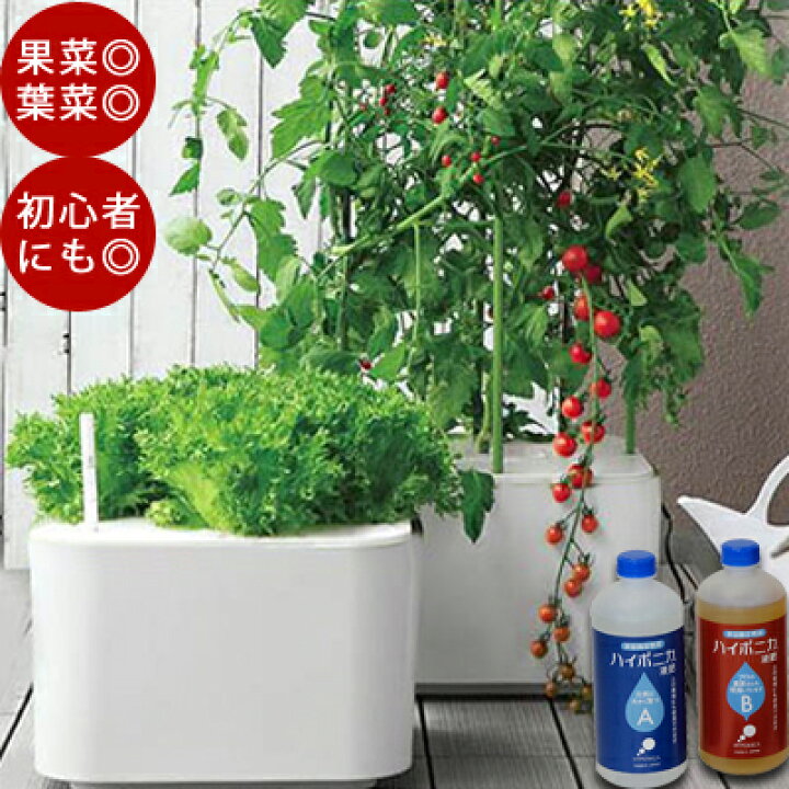 楽天市場 水耕栽培キット ホームハイポニカ Masuco マスコ トマトの種 おまけ付 水耕栽培 キット スポンジ 肥料 観葉植物 液肥 サボテン 果菜 葉菜 液体肥料 食育 Tokilaboトキラボ楽天市場店