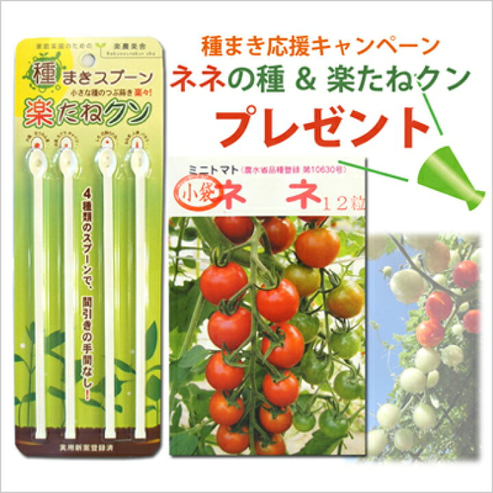 ハイポニカ 水耕栽培キット 家庭用 栽培キット ホームハイポニカぷくぷく 種つき ミニトマト