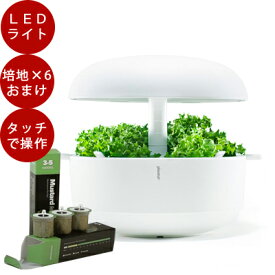 【栽培ポット＆種のおまけ付】LED 水耕栽培 キット Plantui 6（プラントゥイ6）LED 植物育成 水耕栽培 led ライト キット 球根 ポット ヒヤシンス ハーブ 花瓶 かわいい おしゃれ 栽培キット 室内 プレゼント キット ヴェクスセットジャパン 北欧 液肥 液体肥料 ハイポニカ