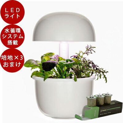 楽天市場 メーカー直送 栽培ポットのおまけ付 Led 水耕栽培 キット Plantui 3e プラントゥイ3e Led 植物育成 水耕栽培 Led ライト キット 球根 ポット ヒヤシンス ハーブ 花瓶 かわいい おしゃれ 栽培キット 室内 プレゼント キット Tokilaboトキラボ楽天市場店