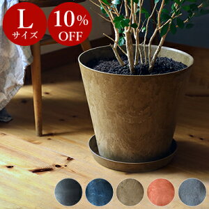 yAEgbg ݌ɌzAؔ A[gXg[ i L TCY j