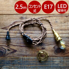 特典付き◎【 コンセント式 】 ペンダントライト 【 2.5m 】 ガラス アンティーク 真鍮 ソケットコード コンセント 北欧 キッチン ハンガーライト ブラケットライト レトロ ウォールライト ダイニング ライト