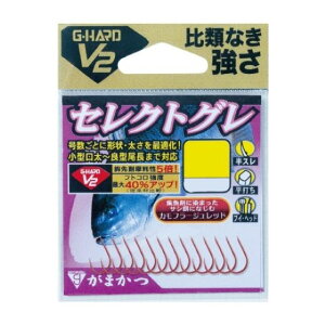 ܂@G-HARD V2 ZNgO@Jt[Wbhi10܁j
