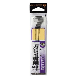 ܂@JCp@NSB@ti10܁j