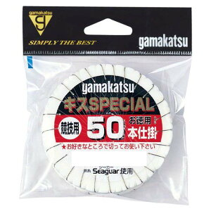 ܂@LXXyV50{d|@i3܁j