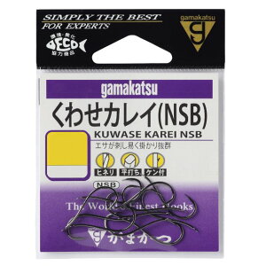 ܂@킹JC@NSB@qli10܁j