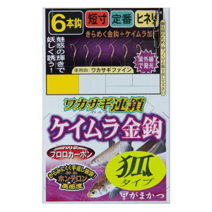 ܂@JTMA PCb 6{d|iσ^Cvj