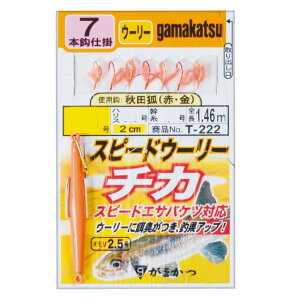 ���܂��@�X�s�[�h�E�[���[�`�J�d�|�@�i10�܁j