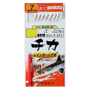 ܂@`JC{[nQd|@i10܁j