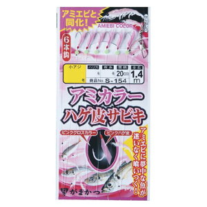 ܂@A~J[nQTrL@i10܁j