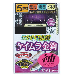 ܂@JTMA PCb 5{d|i^Cvj