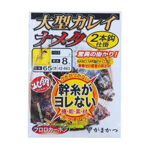 ܂@^JCEi^@2{d|@i5܁j