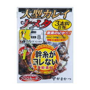 ܂@^JCEi^@3{d|@i5܁j