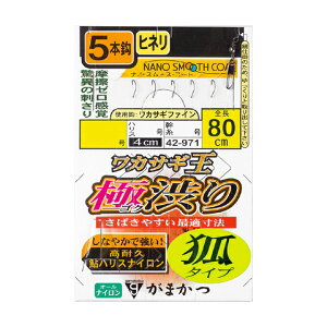 ܂@JTM ɏa(σ^Cv)@ 5{d|