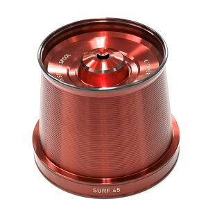 _C@2024g[igT[t 45@06PE@TYPE-R@Xv[