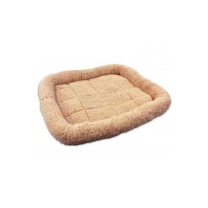 ybgv }CCtxbh MTCY CguE yybgpiz y ybgpi pi Lpi  xbh  L PET bed  z