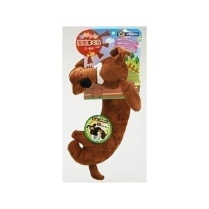 hM[}nV nV Aj}܂ hM[ yybgpiz y ybgt[h E ybgpi pi Lpi  nX^[ bg ybgt[h V PET ObY z