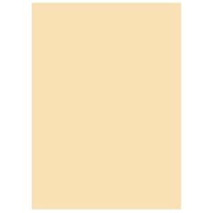 kz J[y[p[ / TCNRs[p yA4 500×5z { AC{[ v^ PCTvCEՕi Rs[pEp Rs[p Rs[  v^p