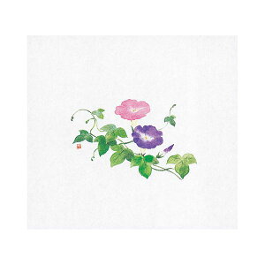 ���}�R�[ �p�� �I�t�B�X �Ɩ��p ���ԕۑN��(��)���� (100����) yamaco64884 �L�b�`�� �H�� �L�b�`���p�i ���H�X ����