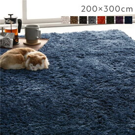 ラグ マット 絨毯 約200×300cm 約4畳 ネイビー 長方形 洗える 滑り止め付 軽量 ホットカーペット可 通年使用可 折りたたみ可