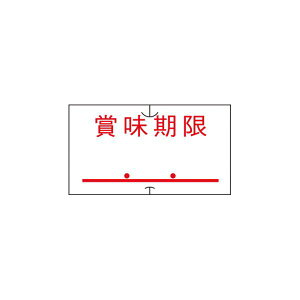Tg[ nhx[ -5 ܖ S 10 piG݁E[E| [Epi  ItBXpi [ pi xV[Ev^