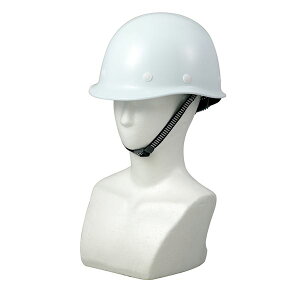 ATwbg piG݁E[E| pEhЃObY pEhЃObY