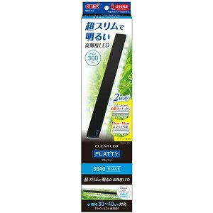 NALEDtbeB 3040BK ubN iϏ܋ / pij y ybgt[h E ybgpi ybgEybgObY  Mы ߂  ybgt[h MыEANAE z