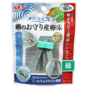 メダカ元気 卵のお守り産卵床 緑【×6セット】 (観賞魚 / 水槽用品) 【お徳用 まとめ買い お買い得 業務用 割引 セット販売】 【 ペットフード ・ ペット用品 ペット・ペットグッズ 飼育 熱