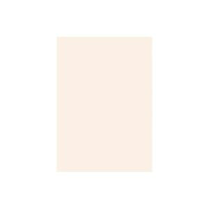 y10Zbg pZbgz 剤 ĐFp / Hp yl؂ 10z  yp ܂Ƃߔ  Ɩp  Zbg̔z piG݁E[E| [Ep