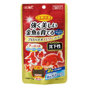 C voCIp[t[h  70g pt[h y×10Zbgz yp ܂Ƃߔ  Ɩp  Zbg̔z y ybgt[h E ybgpi ybgEybgObY 