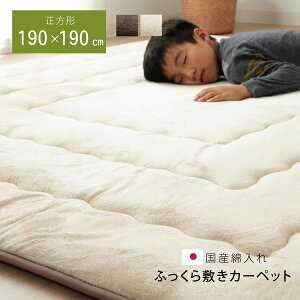 こたつ敷き布団 ラグマット / こたつ敷布団 【ベージュ 約190×190cm】 国産固綿40mm使用 マイクロファイバー地 ふっくら敷 騒音軽減 〔リビング〕 パンチカーペット ラグマット 絨毯 フロア ラ