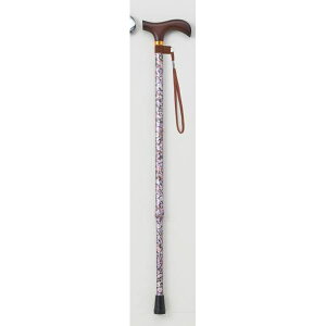  / t[LkXebLII (1) 10iK߉ A~ (s⏕pi / pi) (p[v)