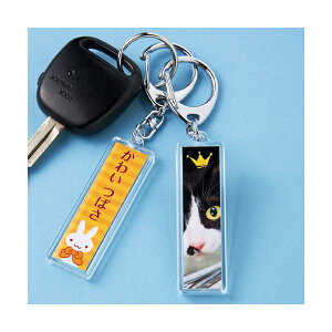 TTvC L[z_[Lbg iXeBbN^j JP-ST15 y×5Zbgz yp ܂Ƃߔ  Ɩp  Zbg̔z v^ PCTvCEՕi Rs[pEp