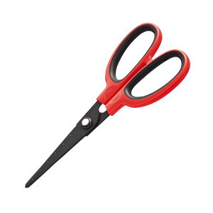 TANOSEE ypZbgz TANOSEE tbfn͂ n nn65mm bh 1Zbg i10{j y×2Zbgz yp ܂Ƃߔ  Ɩp  Zbg̔z piG݁E[E|